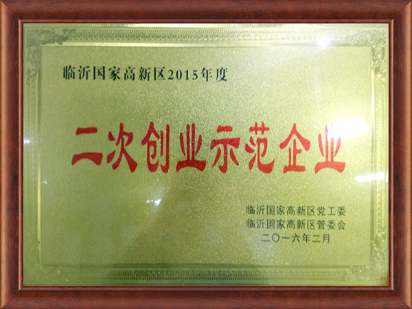 二次創(chuàng)業(yè)示范企業(yè)